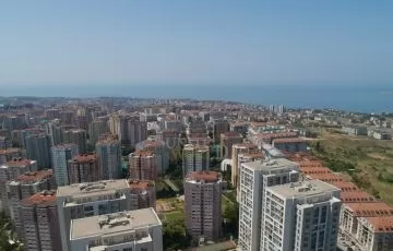 dji_0019.jpg