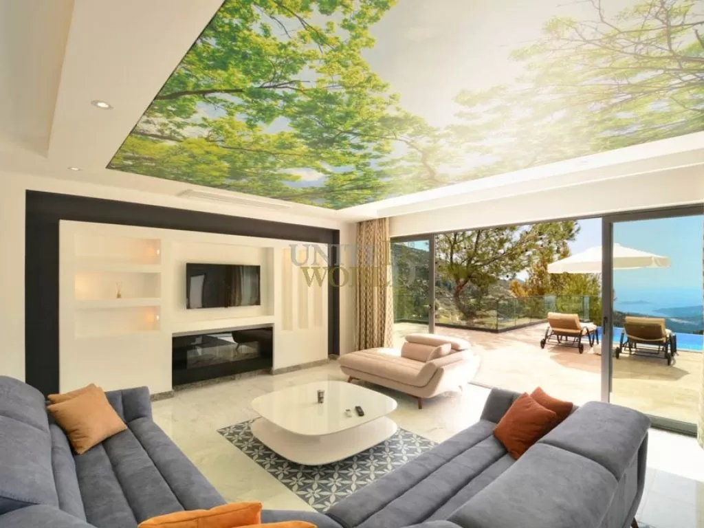 villa_for_sale_in_kalkan_antalya_(8).jpg