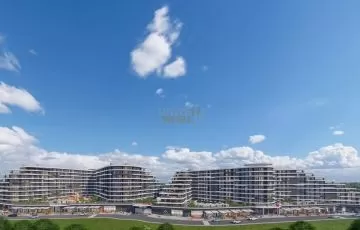 render_(13)-min.jpg