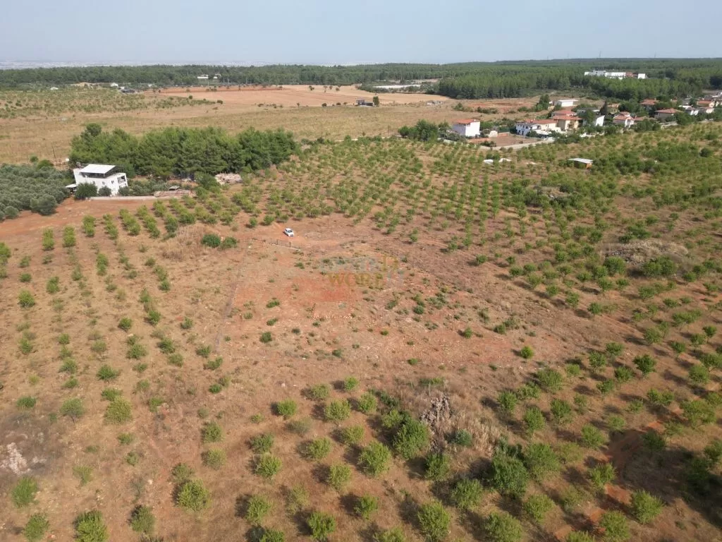 land_in_antalya_for_sale_near_the_forest_(2).jpg