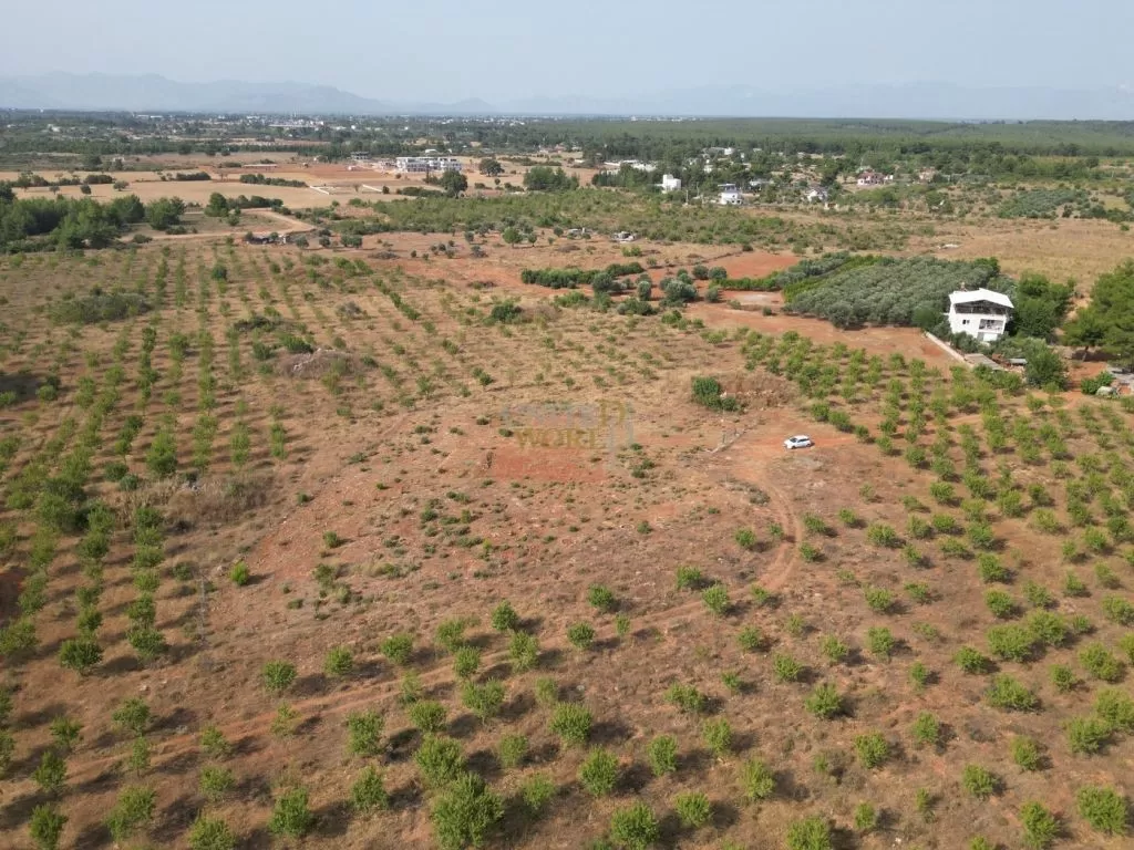 land_in_antalya_for_sale_near_the_forest_(3).jpg
