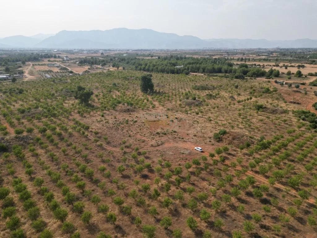 land_in_antalya_for_sale_near_the_forest_(4).jpg