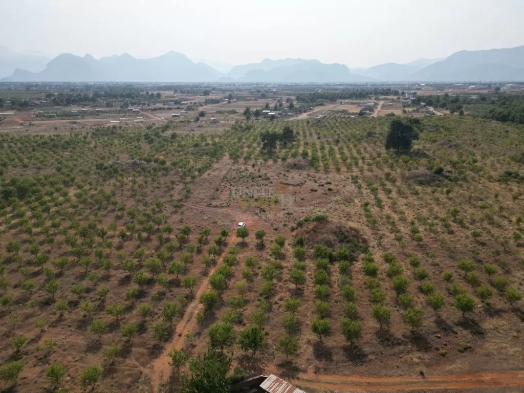 land_in_antalya_for_sale_near_the_forest_(5).jpg
