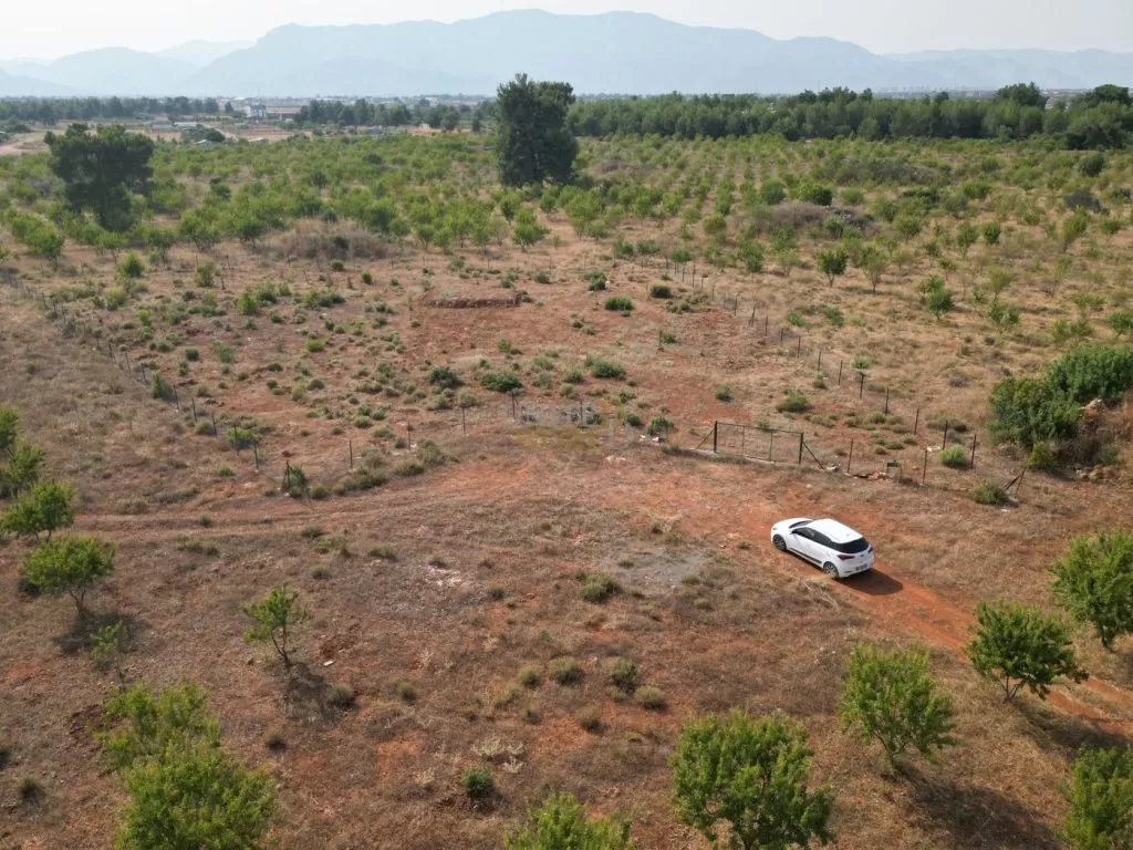 land_in_antalya_for_sale_near_the_forest_(6).jpg