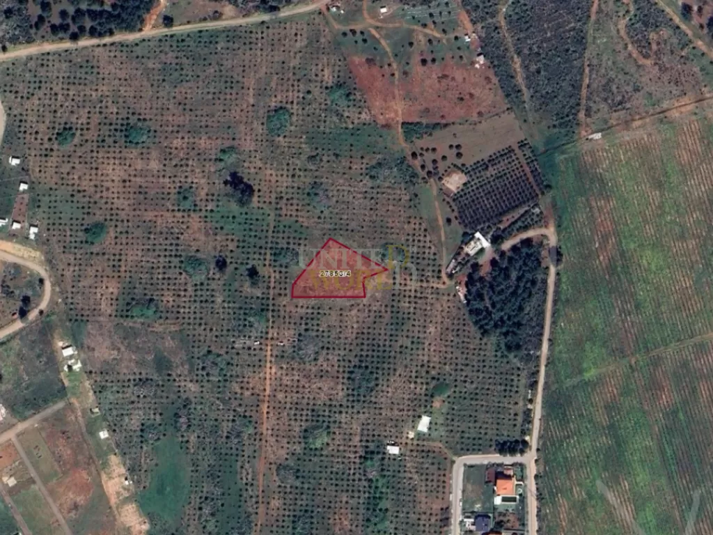 land_in_antalya_for_sale_near_the_forest_(6).png
