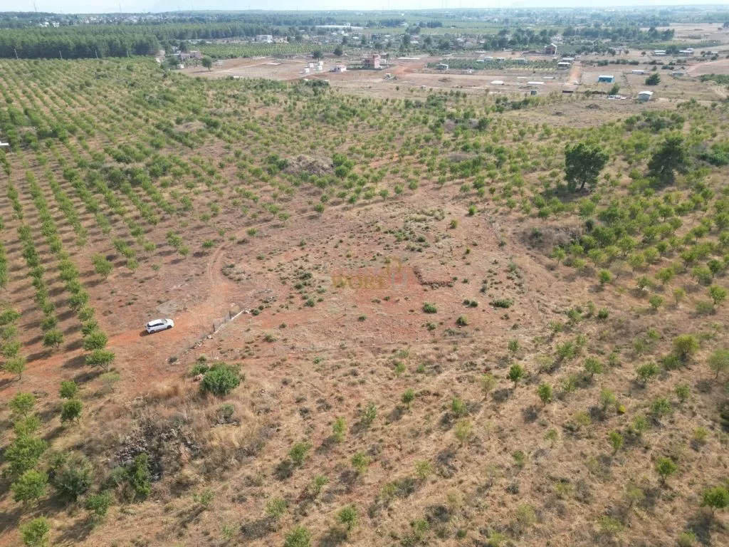 land_in_antalya_for_sale_near_the_forest_(8).jpg