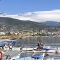 alanya_uwe4.jpg