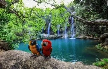 تعرف على شلالات كورشونلو في أنطاليا